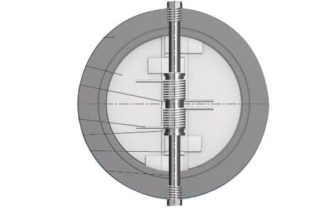 Duo Check Valve